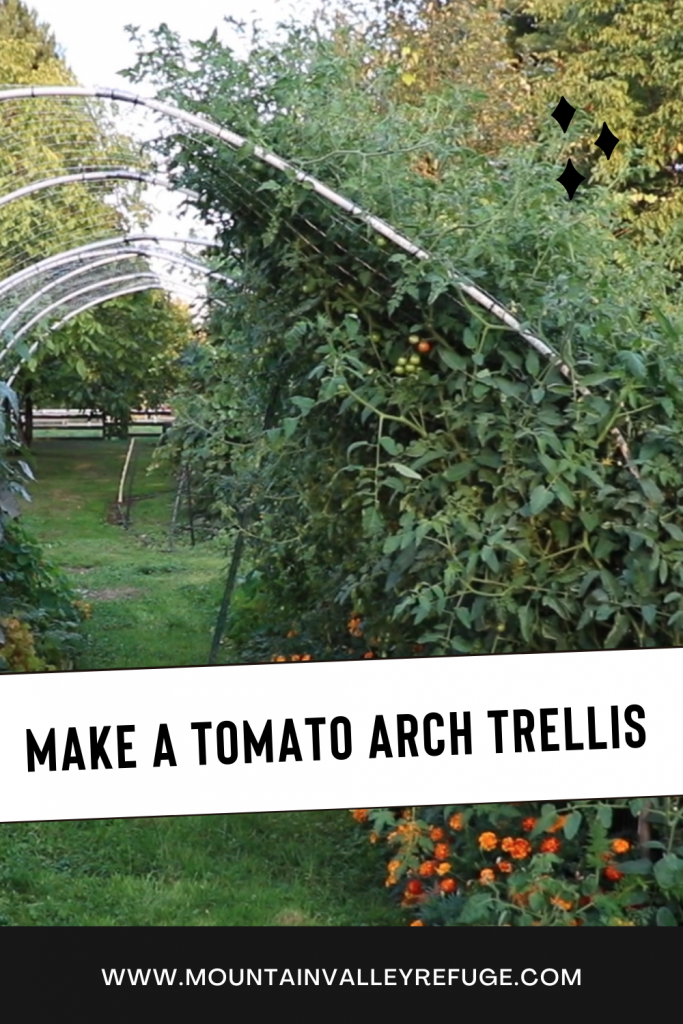arch trellis for tomatoes