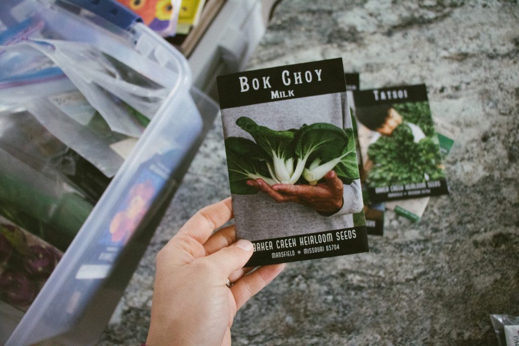 bok choy milk seed packet from bakers creek