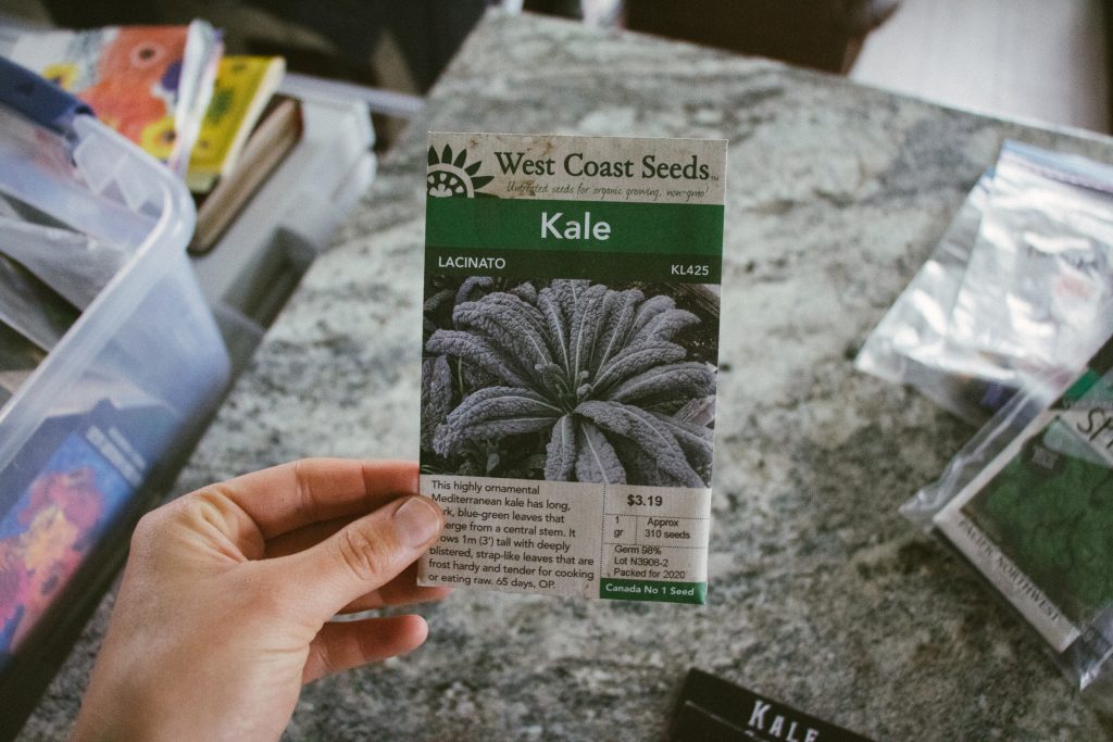 lacinato kale seed packet from baker creek