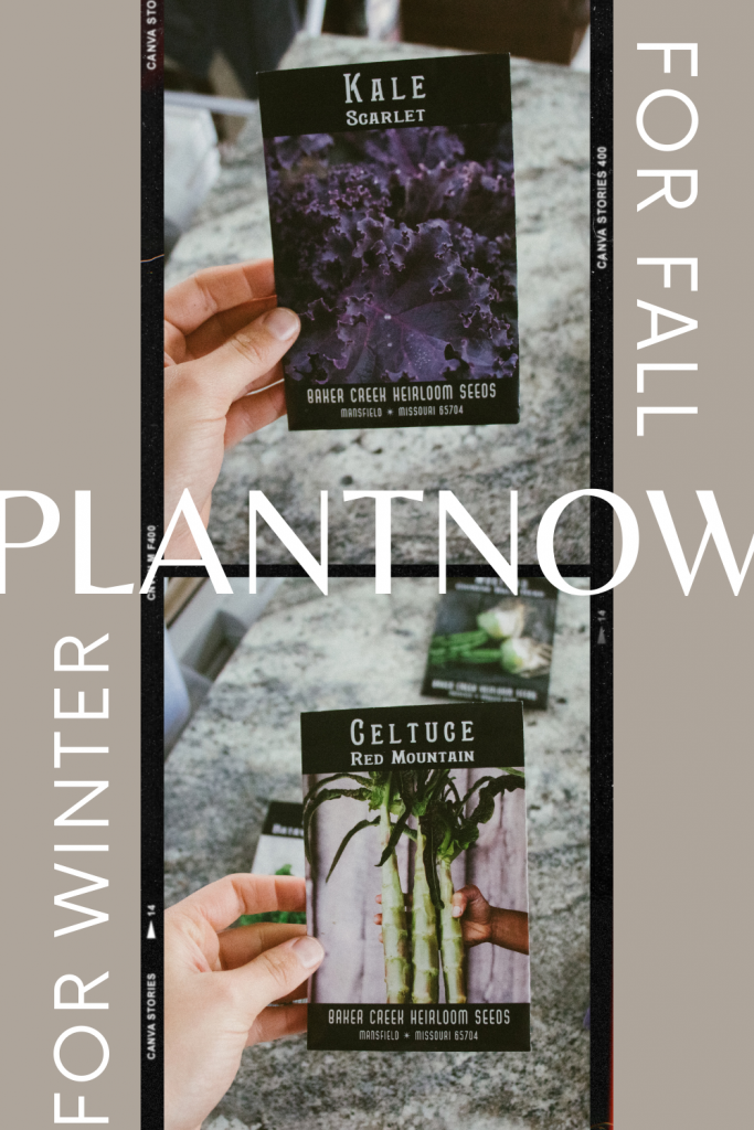 Plant now for fall/for winter seed packets