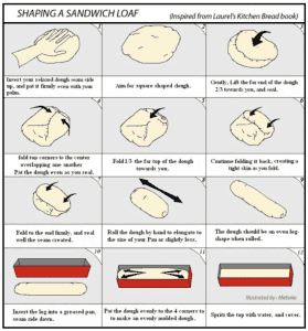 shaping a fresh milled whole wheat loaf