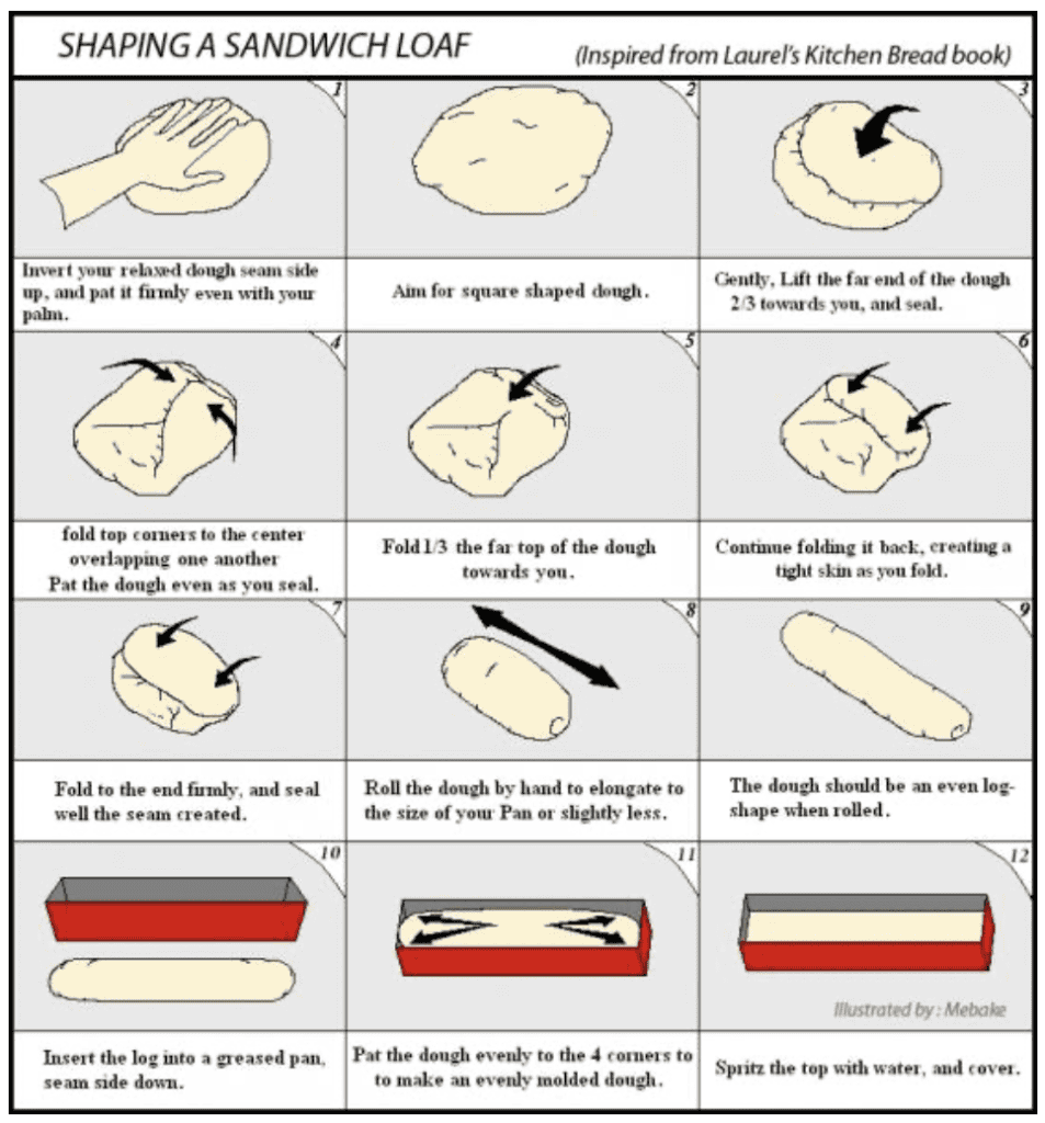 shaping a fresh milled whole wheat loaf
