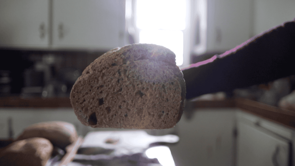 close up of sourdough bread made with whole wheat flour freshly milled