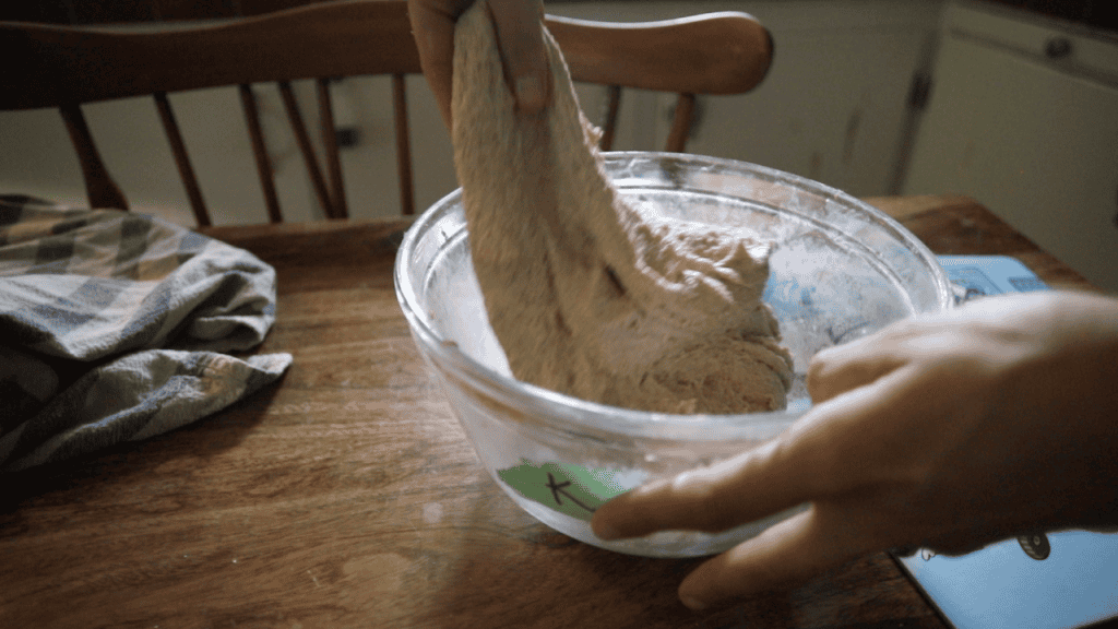 stretching dough for sourdough whole wheat bread